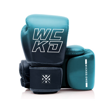RAW BOXING GLOVES - BLUE